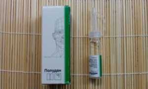 Полудан