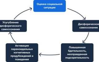 Параноидное расстройство личности