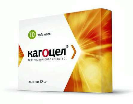 Иммуноглобулин человека против клещевого энцефалита для внутривенного введения инструкция по применению, отзывы и цена в россии