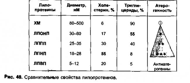 Названия самых известных живых бактерий