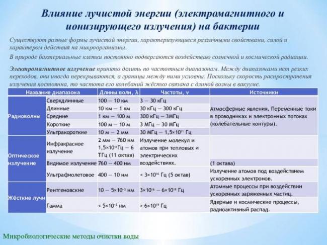 Бактерии такие разные: виды, формы, способы выживания. чего не имеют бактерии: критично ли отсутствие органов
