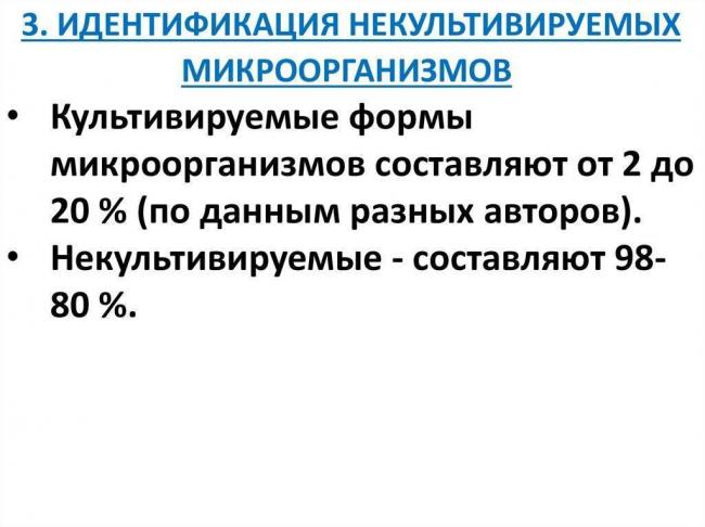 Какие факторы способствуют росту и развитию бактерий в различных средах