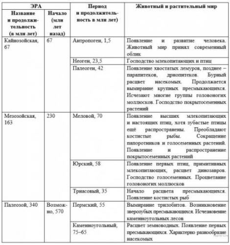 Биология: чем споры грибов отличаются от спор бактерий