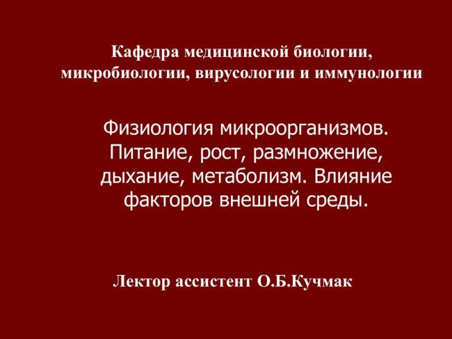 Наши соперники и помощники, или особенности существования бактерий