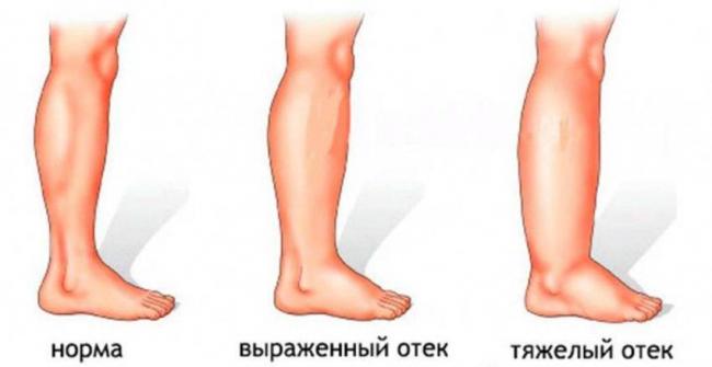 ЯРИНА ПЛЮС