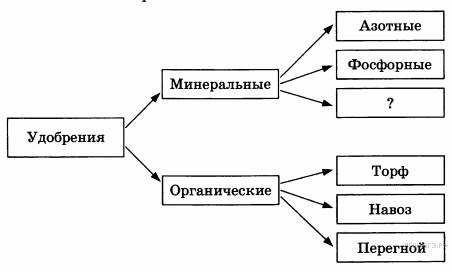 Разница между грибковой и бактериальной инфекцией - разница между
