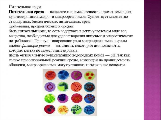 Опасная микрофлора рядом: множество способов размножения патогенных микроорганизмов