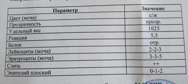Бактерии в анализе мочи – причины и расшифровка результата