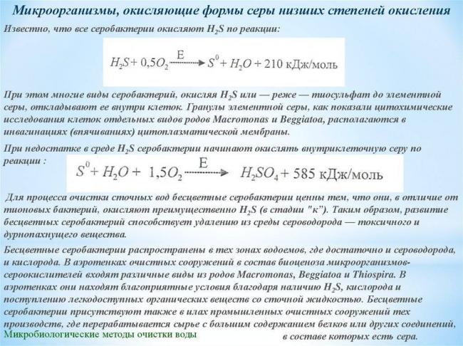 Заболевания, вызываемые бактериями у человека. список, симптомы и лечение