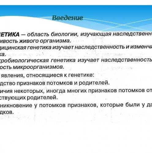 Где можно найти кисломолочные полезные бактерии: продукты и препараты