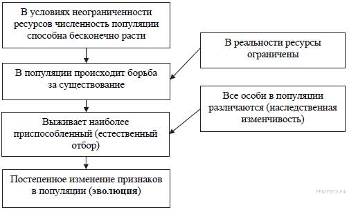 Разница между грибковой и бактериальной инфекцией - разница между