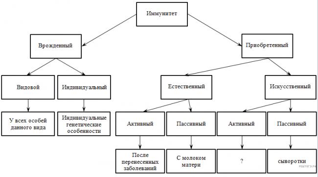 Биология: принципиальное отличие спор грибов от спор бактерий!!! срочно