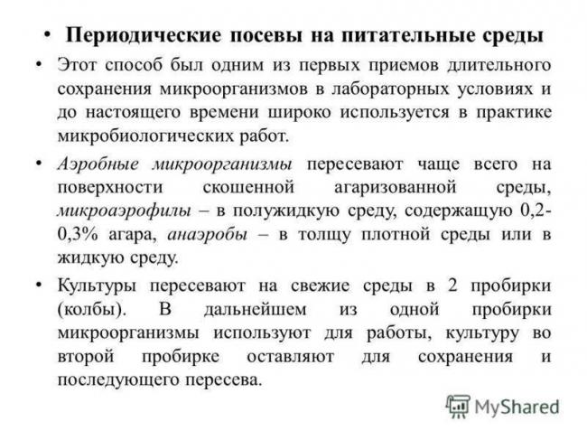 В чем заключаются главные особенности дыхания бактерий