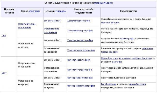 Протисты. грибы. растения. вирусы, бактерии, цианобактерии