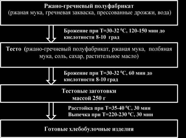 Полезные бактерии. роль и значение бактерий в жизни человека. фото
