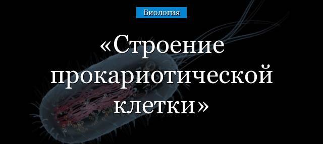 Цианобактерии — википедия с видео // wiki 2