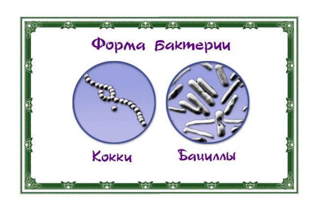 Карта сайта