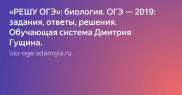 Разница между грибковой и бактериальной инфекцией