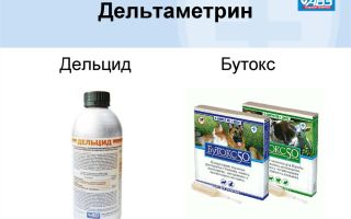 Анауран. инструкция по применению, цена, аналоги, отзывы