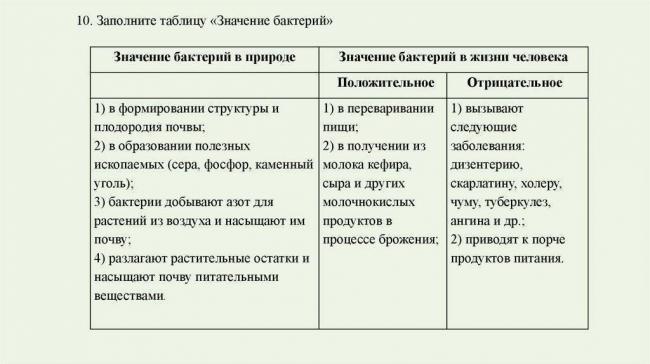 Какую пользу могут принести бактерии человеку и какой вред нанести здоровью?