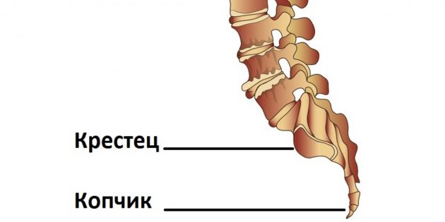 Ноет и тянет копчик: причины, обезболивание, диагностика, лечение