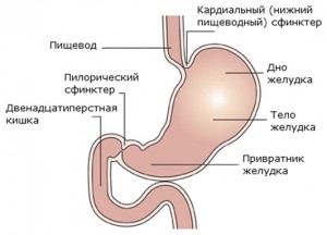 10 симптомов возникновения дгр желчи