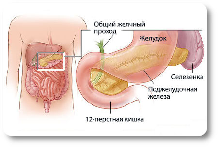 Дуоденогастральный рефлюкс