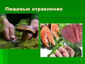 Презентация работы «исследование кисломолочных продуктов на наличие живых бактерий»