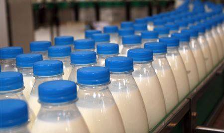 Презентация работы «исследование кисломолочных продуктов на наличие живых бактерий»