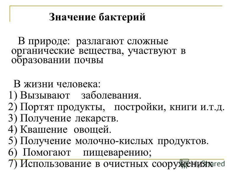 Роль бактерий в природе и жизни человека
