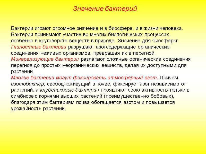 Значение бактерий в природе и жизни человека