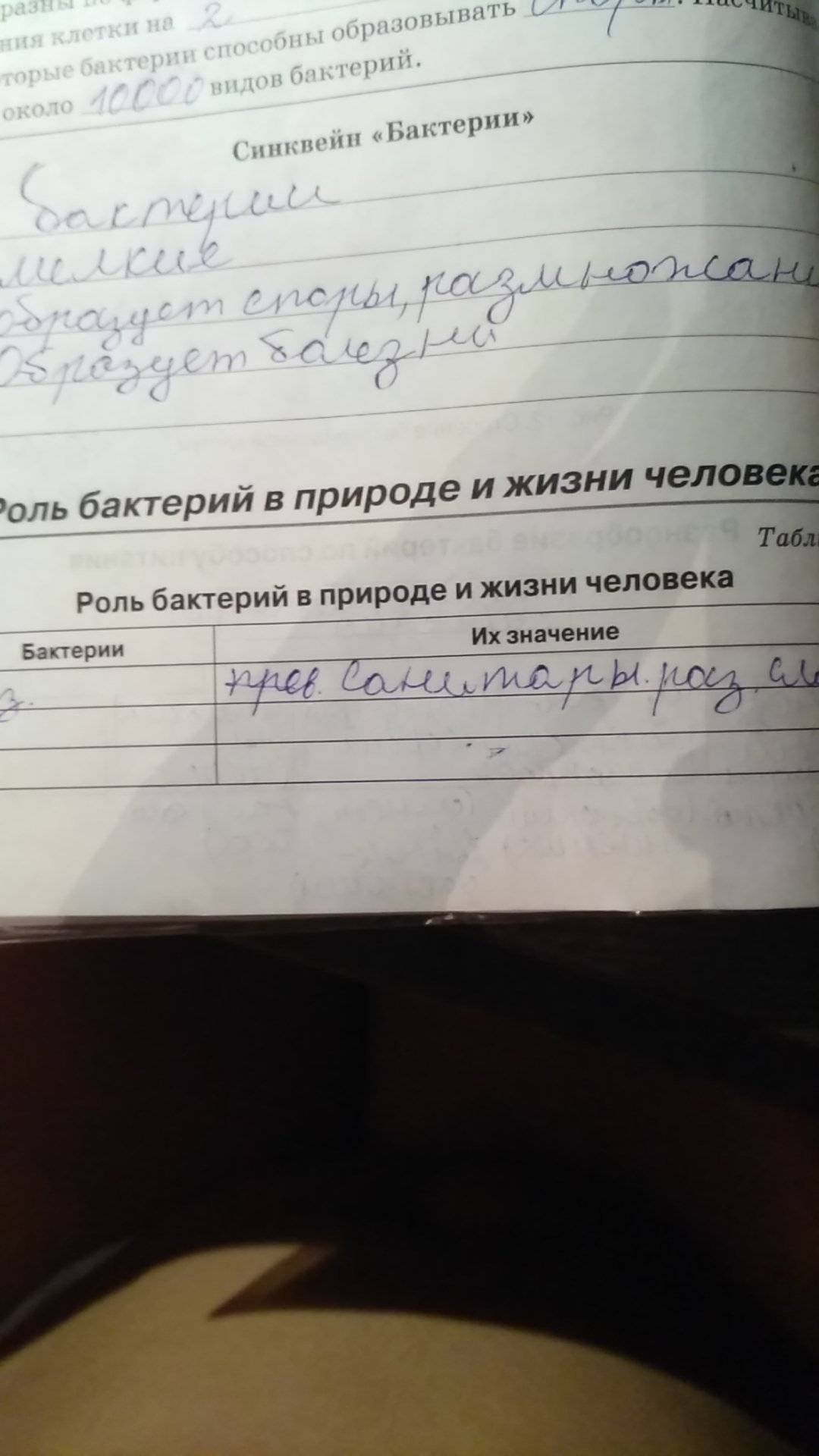 Роль бактерий в жизни человека и в природе