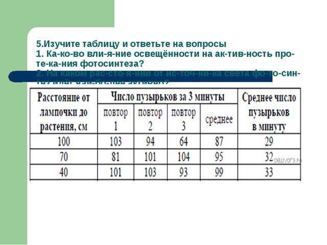 Многообразие типов питания, присущего бактериям