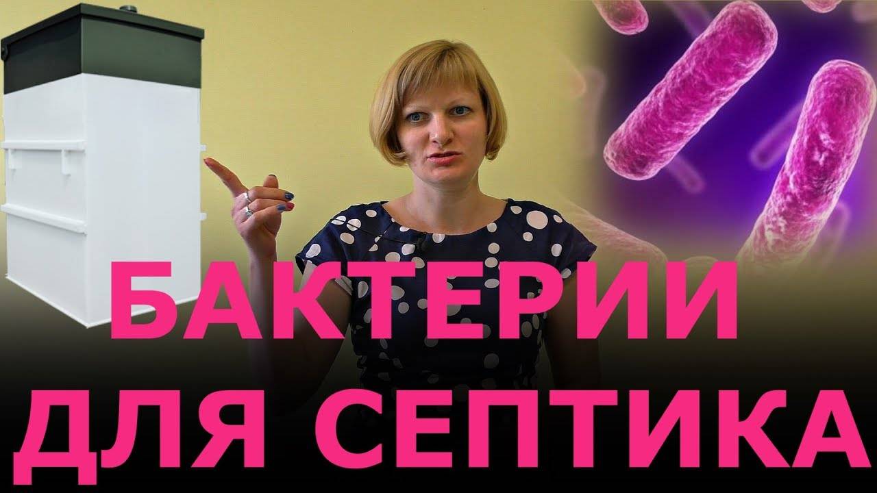 Разновидности и применение бактерий для септика