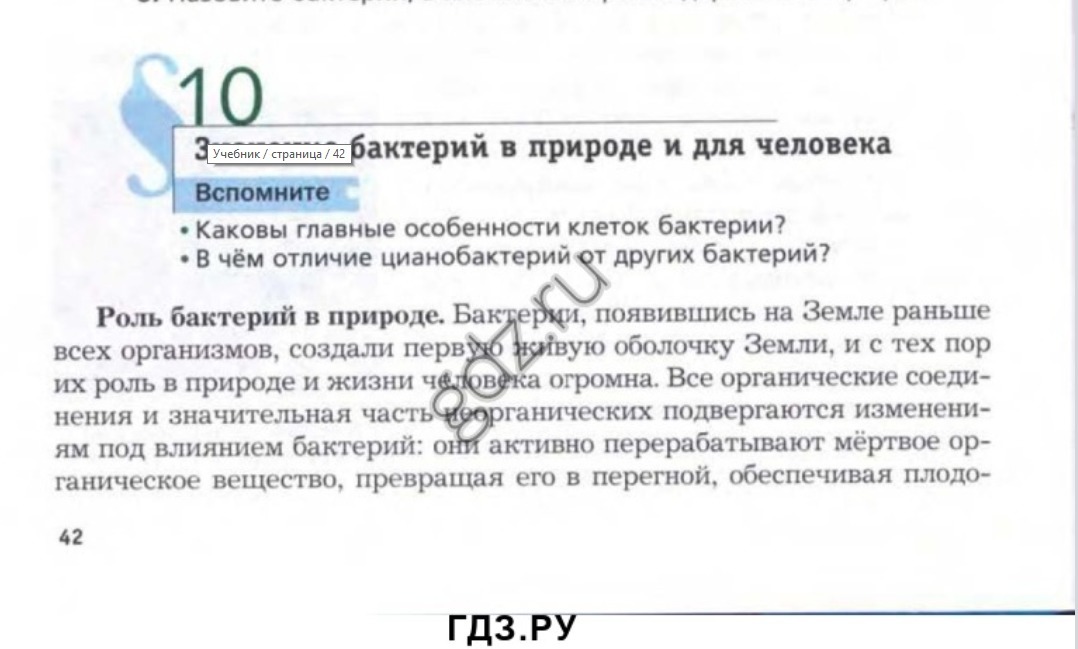 Значение бактерий в природе и в жизни человека