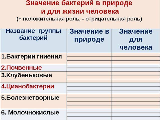 Значение бактерий в природе и в жизни человека – opiq