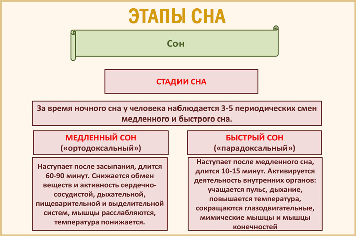 Правильная таблица с временем отхода ко сну и временем пробуждения. как оставаться бодрым?