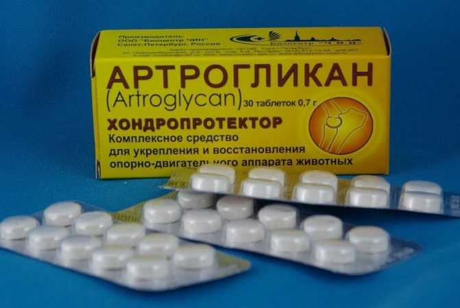 Все достоинства и недостатки препарата для собак артрогликан. подробный обзор