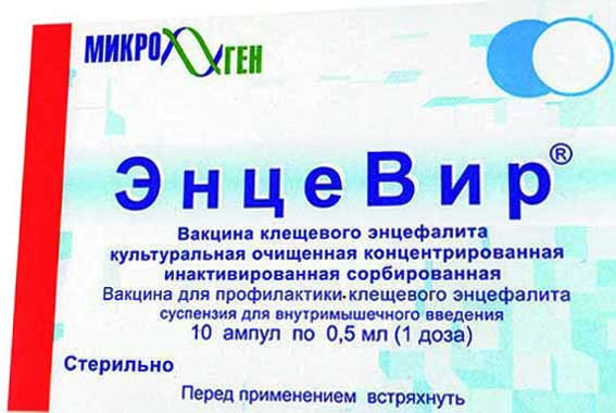 Побочные действия иммуноглобулина против клещевого энцефалита. правила введения иммуноглобулина против клещевого энцефалита.