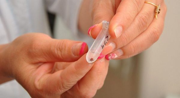 Иммуноглобулин человека против клещевого энцефалита (immunoglobulin human against encephalitis ixodicum)