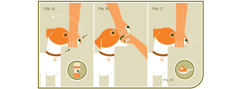 Лечение собак Преднизолоном за и против. Преднизолон для собак для чего назначают, инструкция по применению, дозировка Последствия приема преднизолона у собак