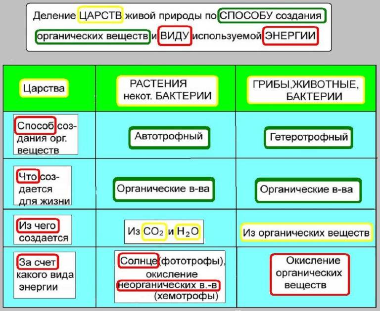 Автотрофы и гетеротрофы