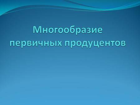 Автотрофы и гетеротрофы