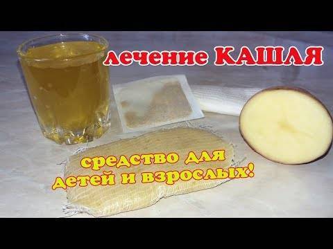 Лепешка от кашля с медом и горчицей