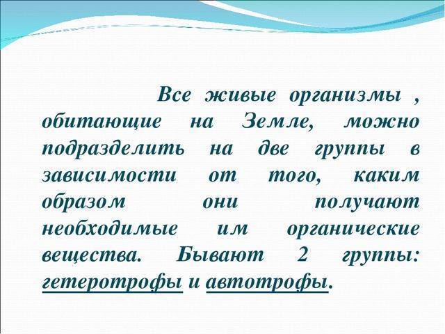 Гетеротрофы — что это такое | ktonanovenkogo.ru