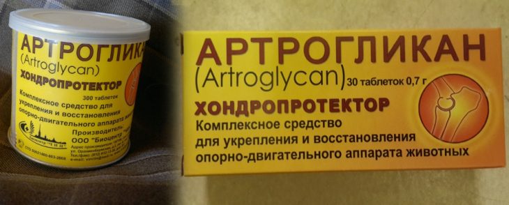 Артрогликан для собак: описание, показания, способ применения