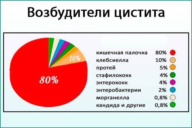 Что значат бактерии в моче у женщин, расшифровка результатов анализов и лечение