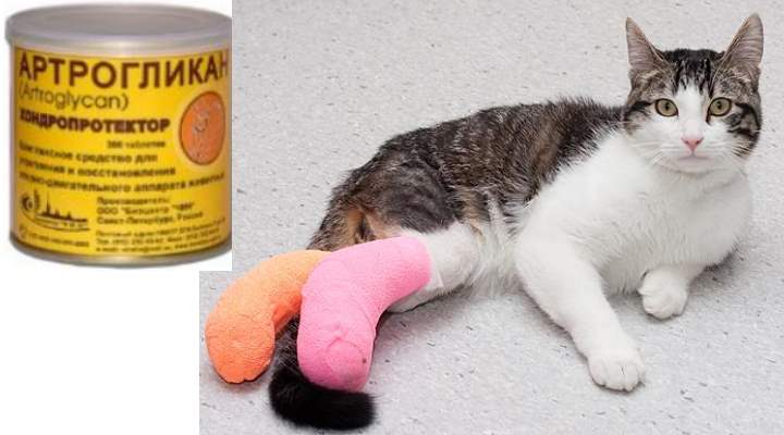 «артрогликан»: состав, инструкция, побочные действия