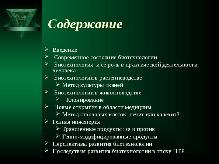 В каких продуктах содержатся пробиотики для кишечника – 10 лучших источников