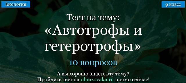 Гетеротрофы